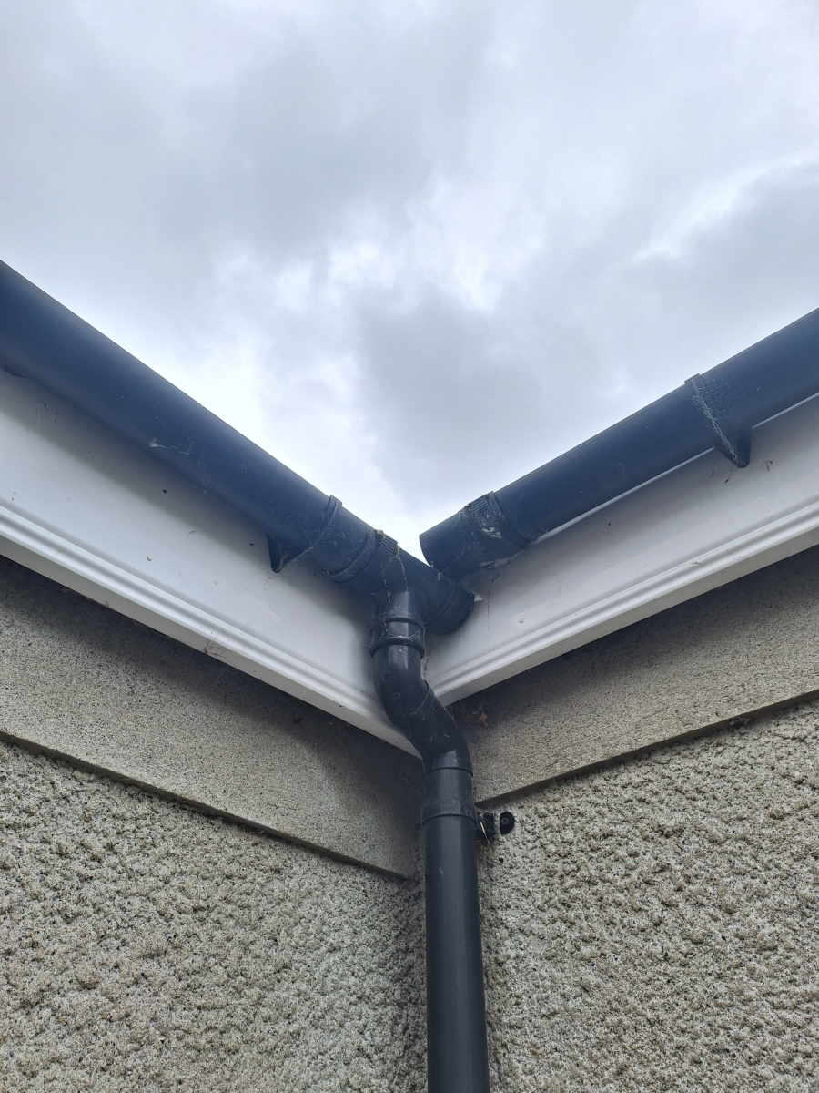 Facia and soffit before cleaning